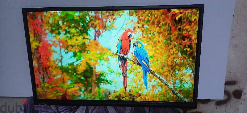 LED TV 39 inch ozzan good working no issues 4