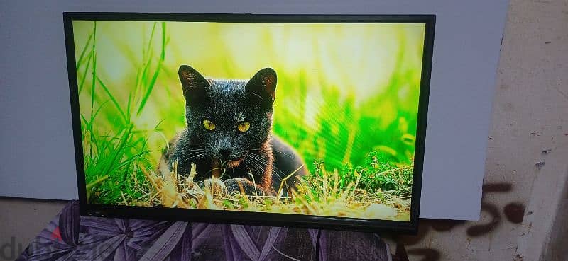 LED TV 39 inch ozzan good working no issues 6