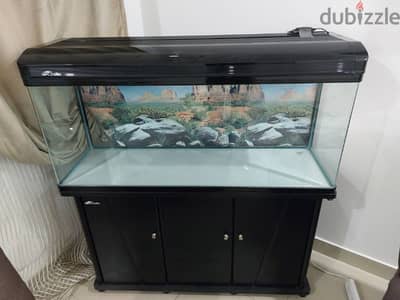 big aquarium excellent condition