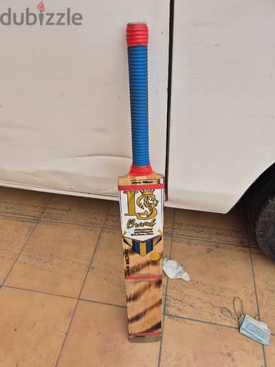 cricket bat