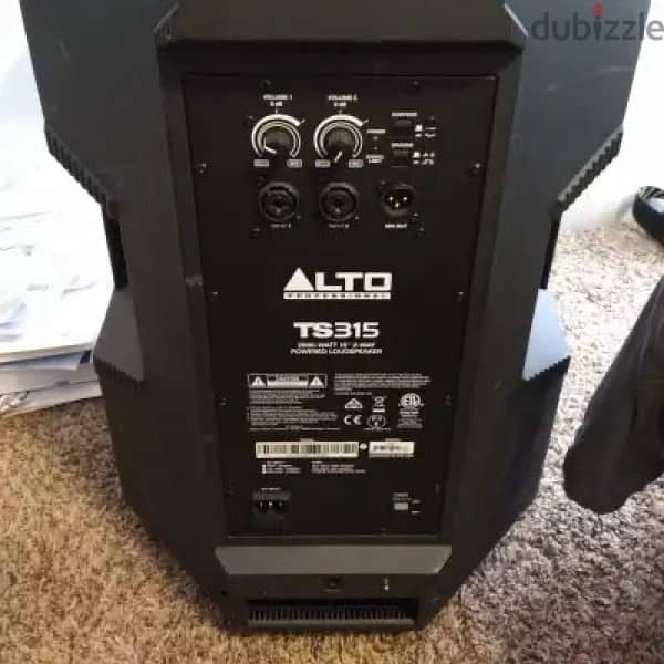 Alto TS-315 speaker 1