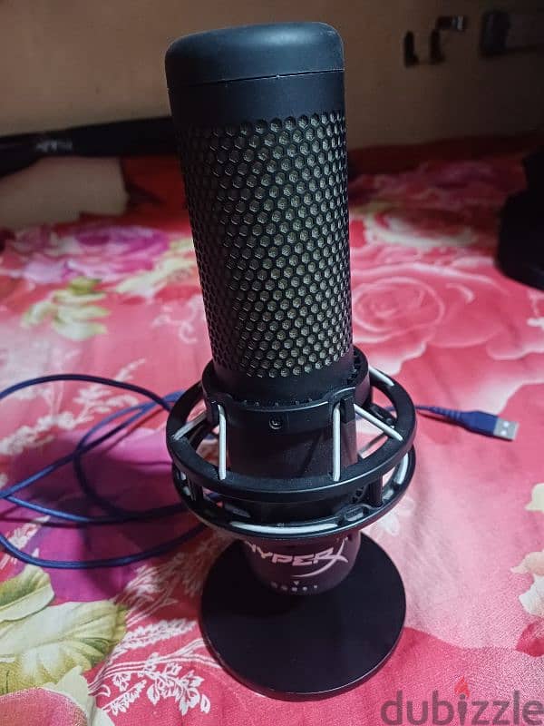 microphone 1