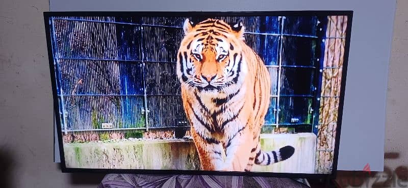 android smart TV 50 inch 4k orca 4