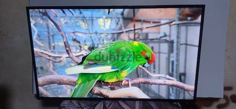 android smart TV 50 inch 4k orca 8