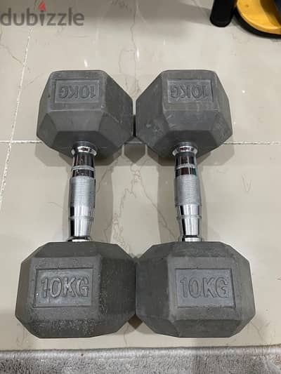 rubber dumbell set 10kg