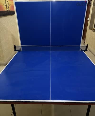 Npsort ping pong table