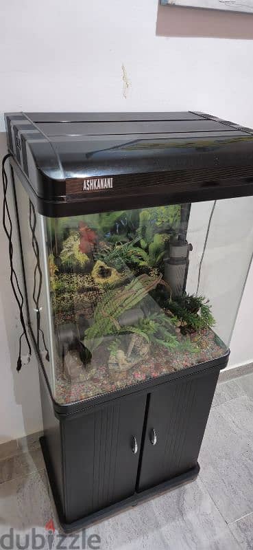 Neat and Clean Aquarium For Sale including accessories 3