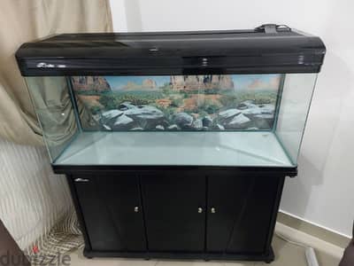 big aquarium excellent condition