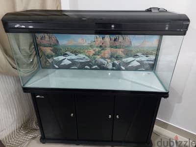 big aquarium in excellent condition