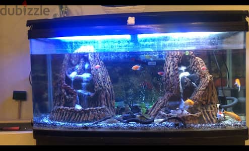 Big Aquarium with water falls for Sale with all equipment