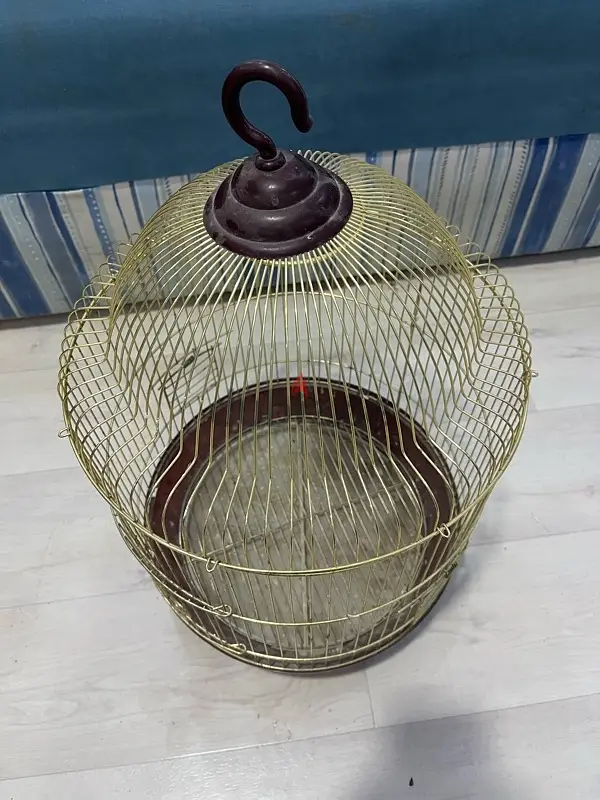 Bird cage for sale