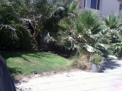 Pets friendly 2 bedroom in egaila with terrace, garden, pool,