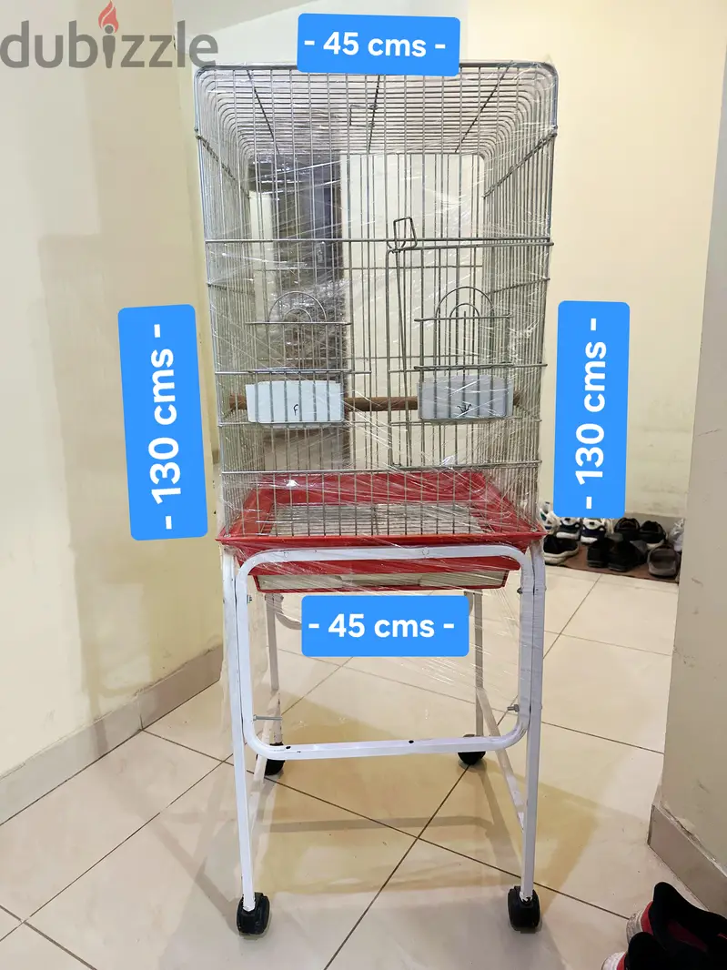 Birds Cage