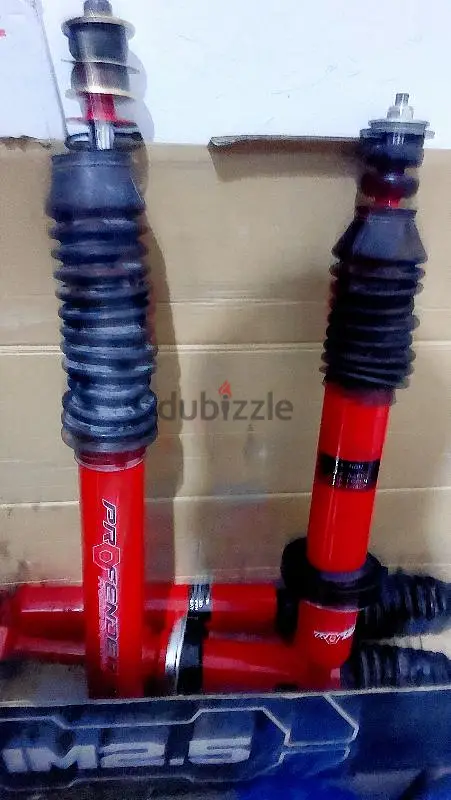 Profender shocks for Prado FJ