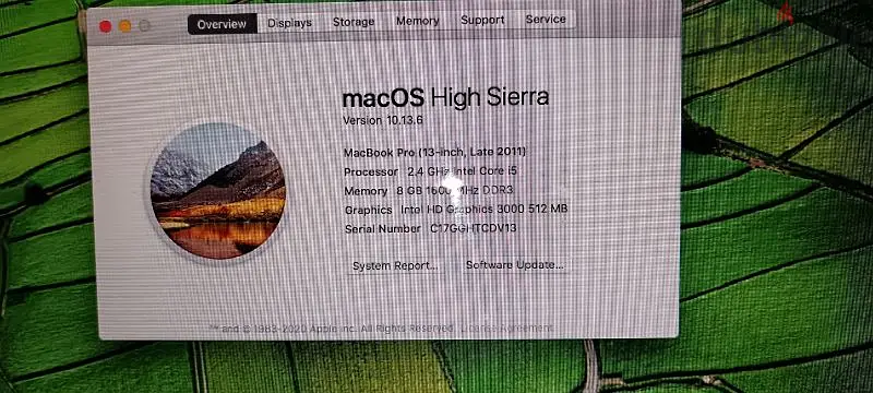 Apple64248715970434125