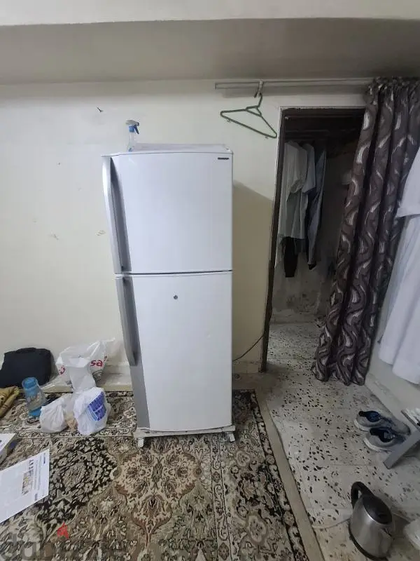 sharp refrigerator good working64360435939585121