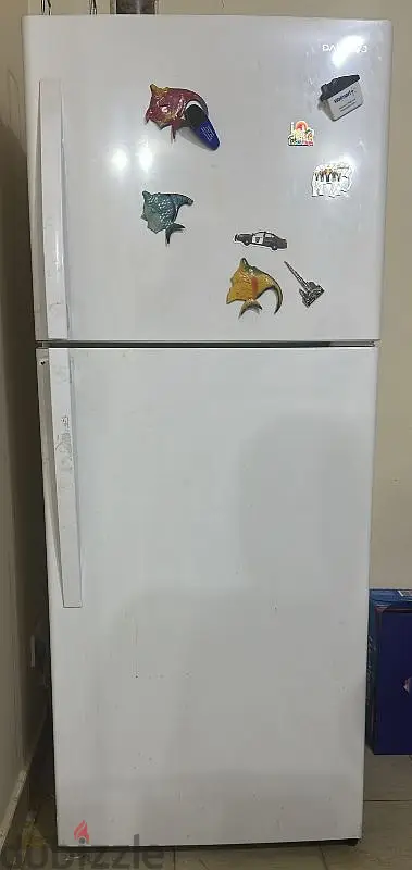 devoo dowel door fridge