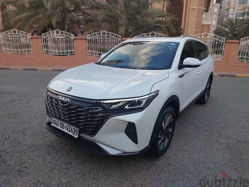 DFM AX7.2024