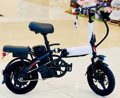 New 2025 Rohan Wing's Foaldabe Electric Bike With Pedal System