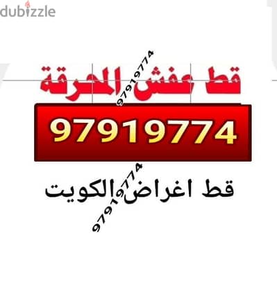 قط اغراض الكويت عمال مخازن تنظيف البيوت القديمه نقل عفش 65623033 سكراب