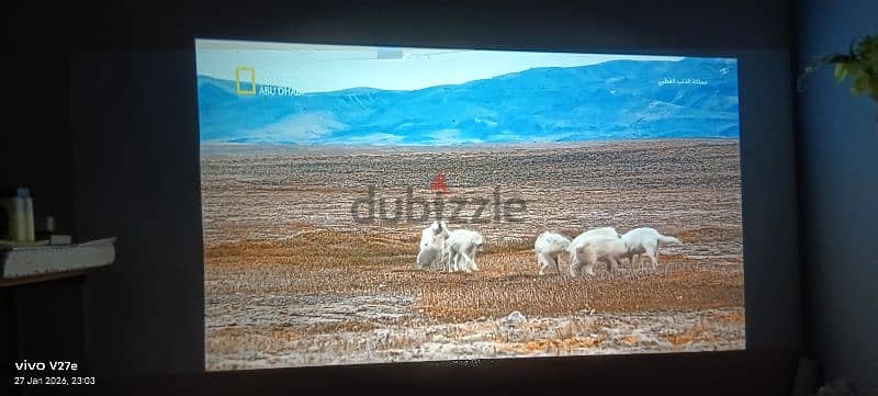 smart barry projector 4k 4