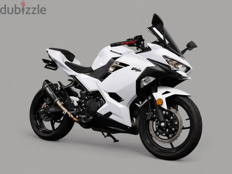 2020 Kawasaki Ninja 400 (971589430760) 1
