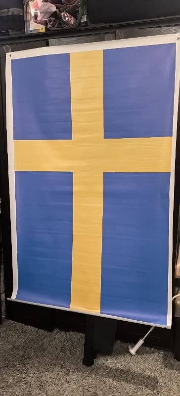 outdoor or Indoor Projector screen 1