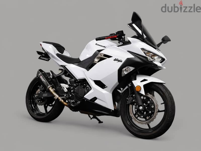 2020 Kawasaki Ninja 400 (971589430760) 1