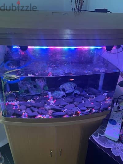 fish tank