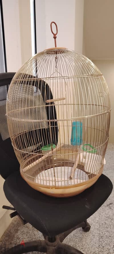 big cage for parrot with all accessories