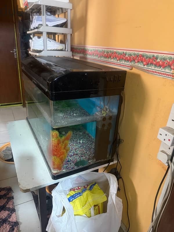 Big aquarium for sale 1