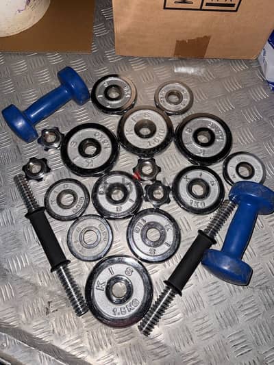 Adjustable Dumbbell Set with Plates – Good Condition