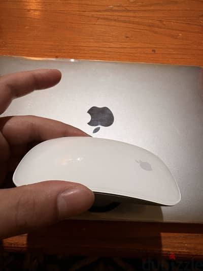 Apple Mouse 1st
