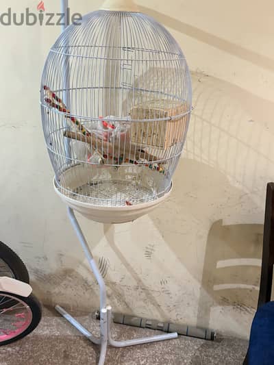 Cage for sale