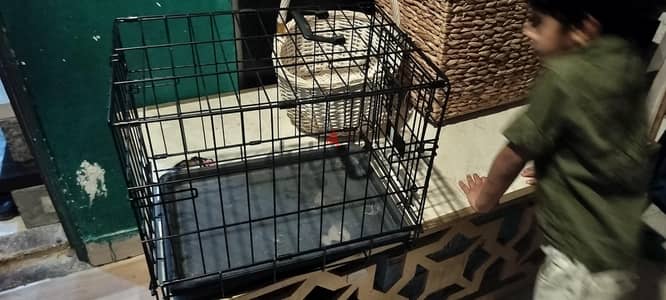 cage black