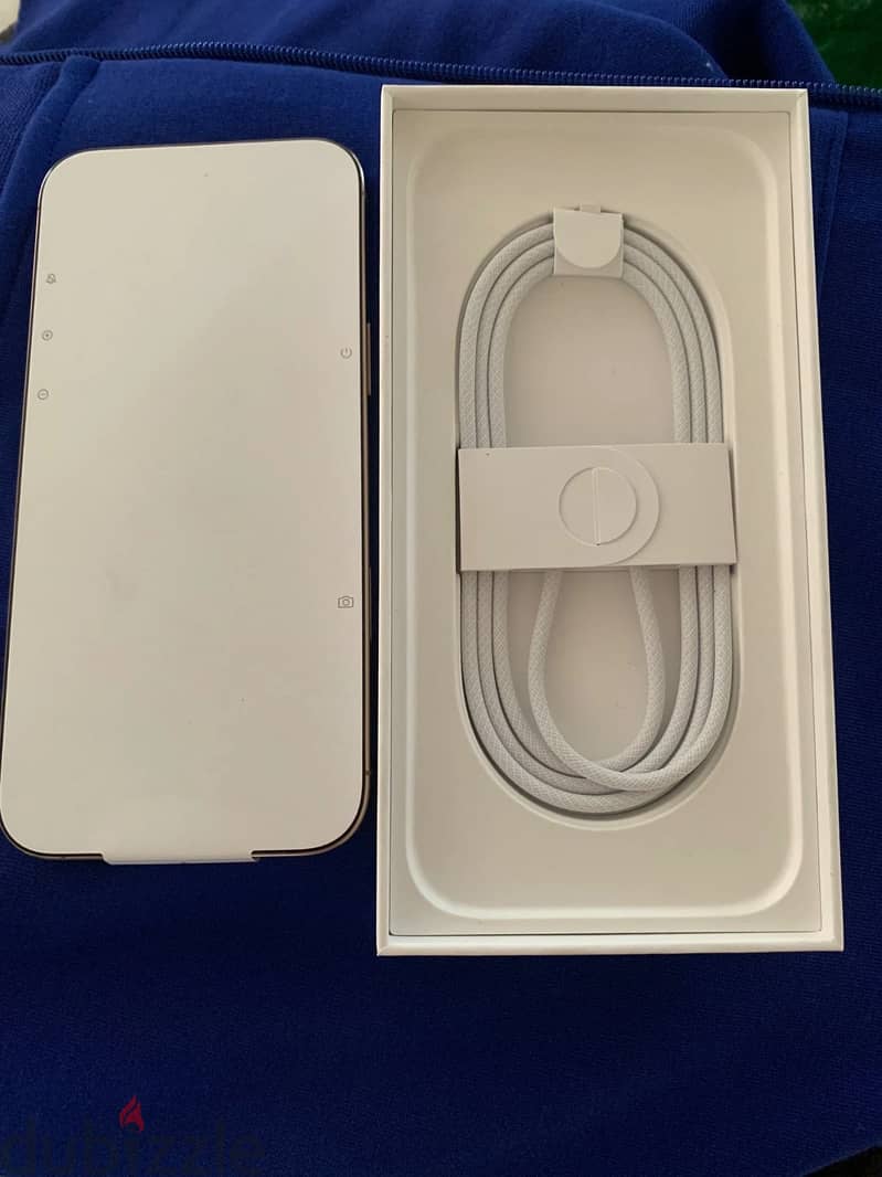 Apple iPhone 16 Pro Max 1