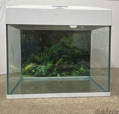 Fish Tank - Aquarium For Sale