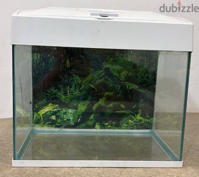 Fish Tank - Aquarium For Sale 1
