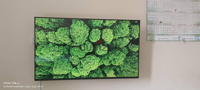 Sony 50X80K