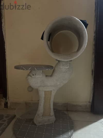 Cat toy