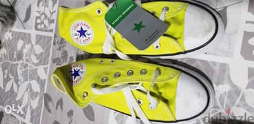 All Stars Converse coloured shoes 3 pc's