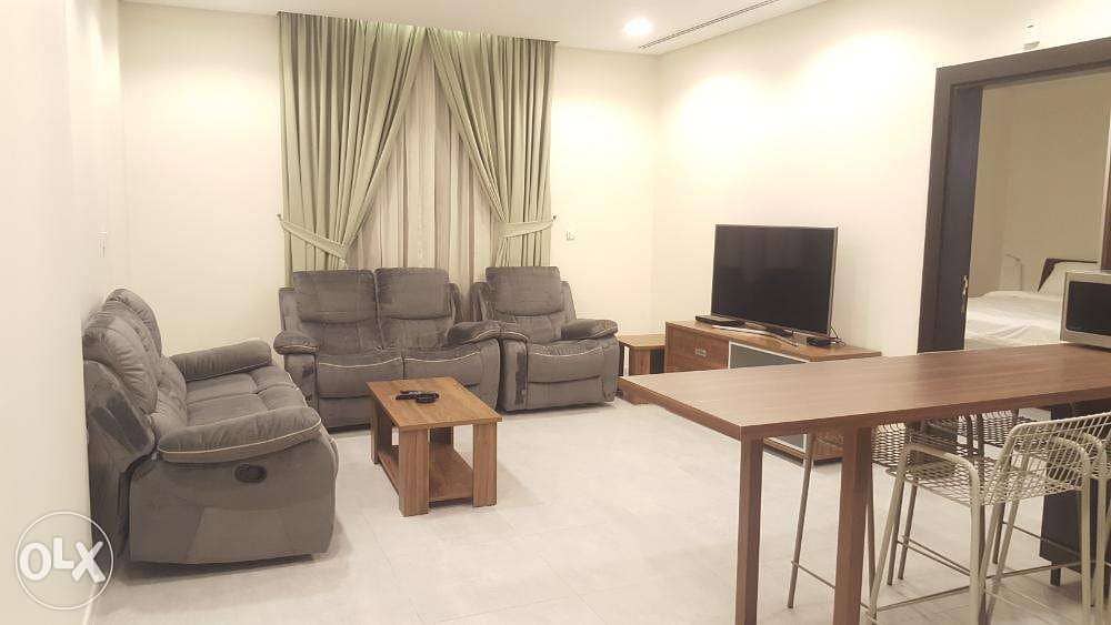SALWA - Deluxe Fully Furnished 1 BR Apartment 4