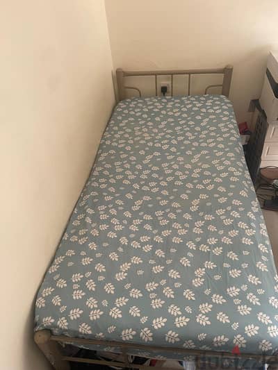 Standard Bed Frame (Urgent)