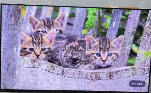 Philips smart tv