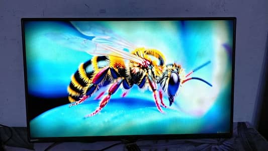 LG 42 inch LED TV