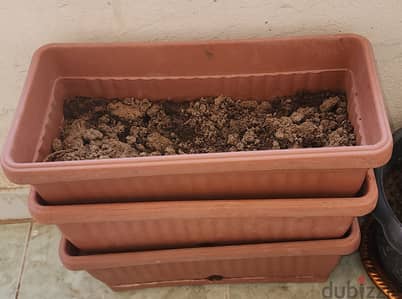 Pot with soil for Plant