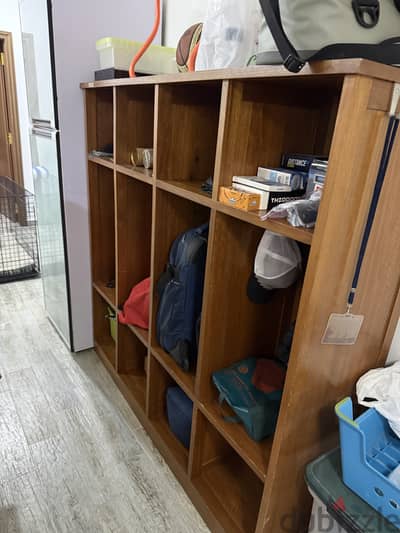 Four (4) Section family cabinet organizer