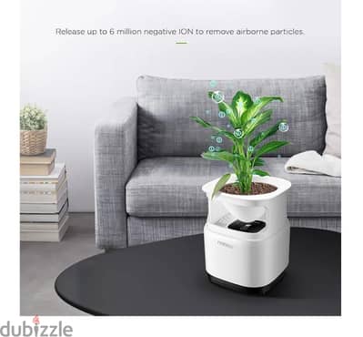 Freshen up your Space! long lasting fragrance Perfect for home offices