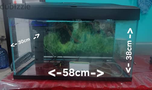 Aquariums for Sale -Fish Tank