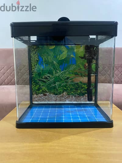 Fish Aquarium Tank with Filter & Light – 40L